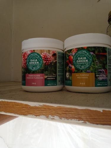 Customer photo review of Gaia Green Organic All Purpose Fertilizer 4-4-4