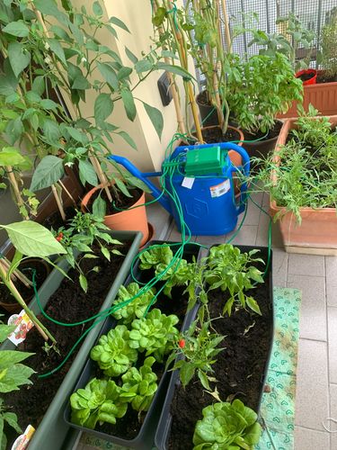 Customer photo review of Automatic Micro Home Drip Irrigation Watering Kits Water Sprinkler with Smart Controller