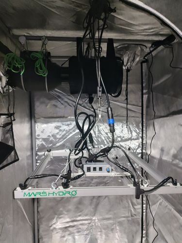 Customer photo review of AC Infinity Grow Tent Ventilation Kit Pro, 4 Inch