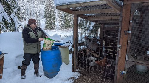 Customer photo review of GrubTerra Dried Larvae