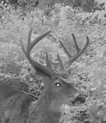 Customer photo review of Pennsylvania Parks - Adventure Planning Journal