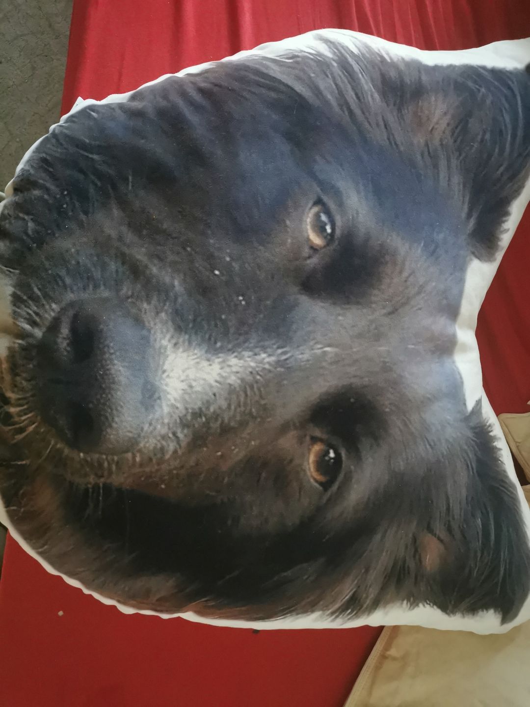 Customer photo review of Personalisiertes Tiergesichterkissen