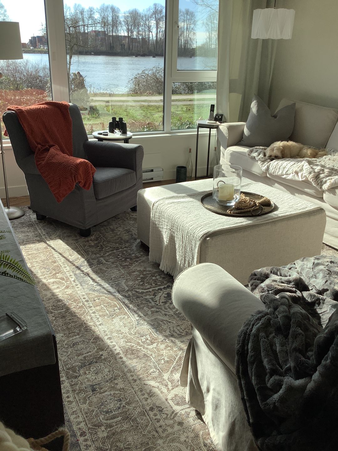 Customer photo review of Distressed Vintage Kendra Ash Area Rug