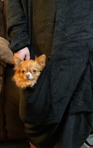 Customer photo review of The Long And Soft Oversized Blanket Robe