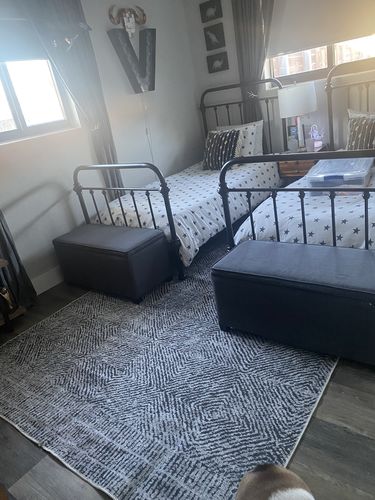 Customer photo review of Contemporary Lauro Grey Rug