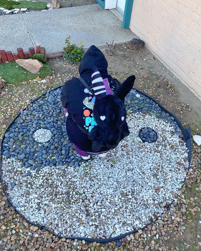 Customer photo review of Rabbit Plush Backpack (24" BLACK)