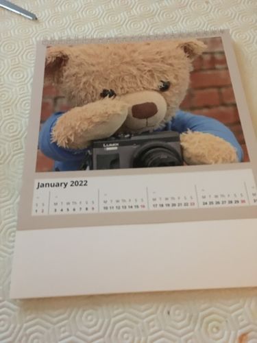 Customer photo review of Eddy the Teddy 2022 Calendar