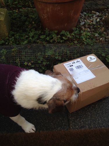 Customer photo review of JR Pure Meat Sticks