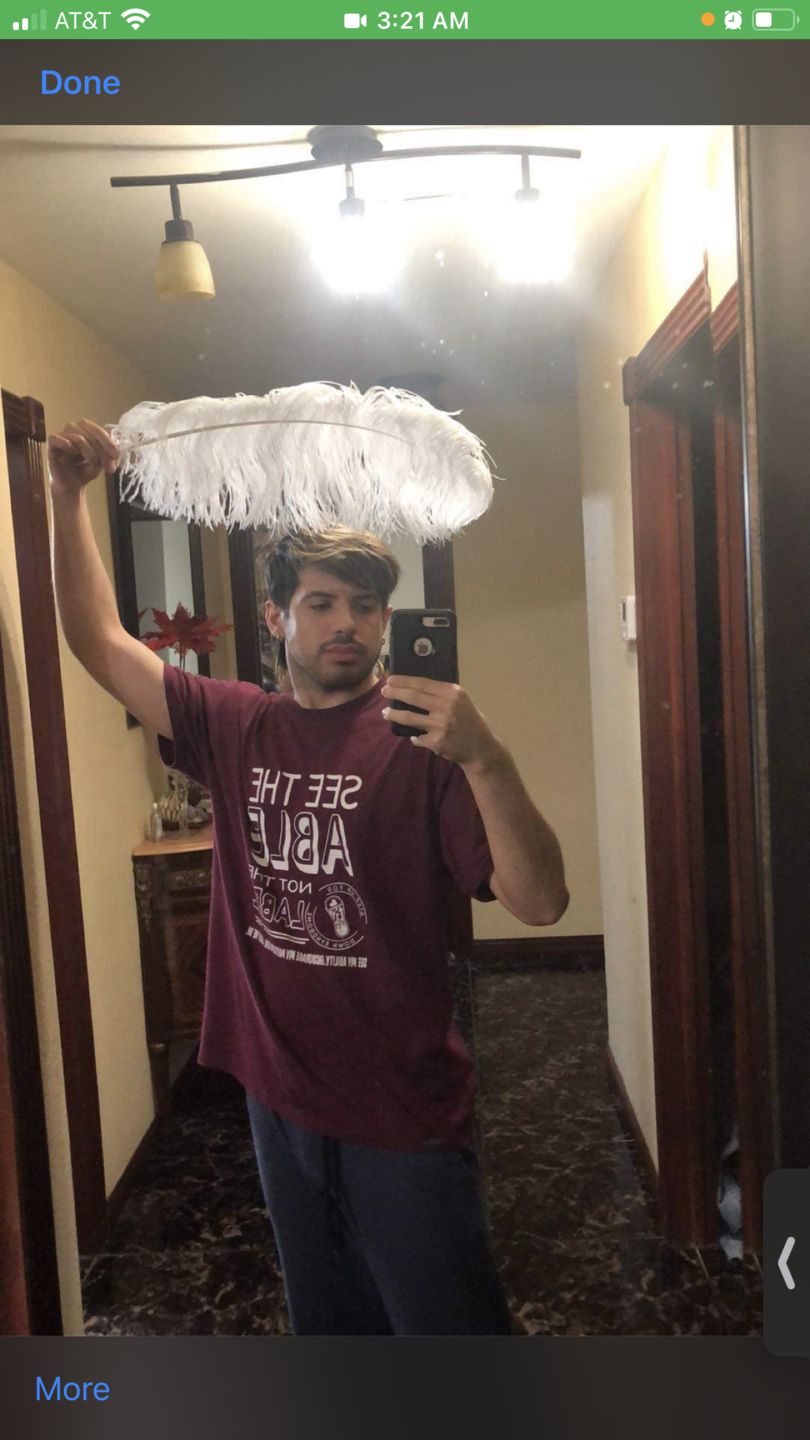 Customer photo review of Ostrich Wing Feathers | Ostrich Plumes