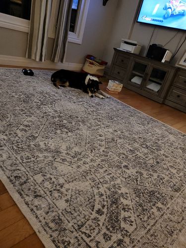 Customer photo review of Versailles Winter Gray Rug