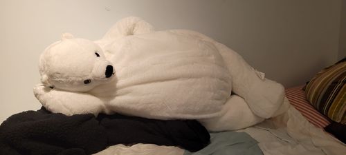 Customer photo review of SKOGGY BEAR