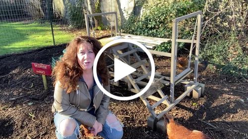 Customer video review of GrubTerra Dried Larvae