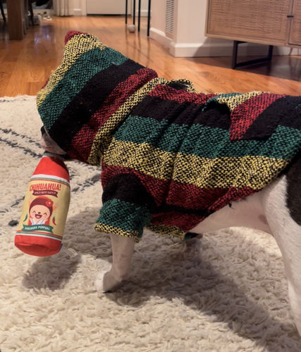 Customer photo review of Playa Poncho