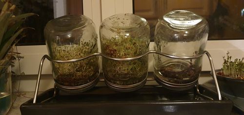 Customer photo review of ESCHENFELDER Sprossengläser 3er-Set (750ml)