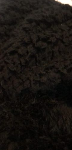 Customer photo review of The Thick Winter Fleece Blanket Hoodie