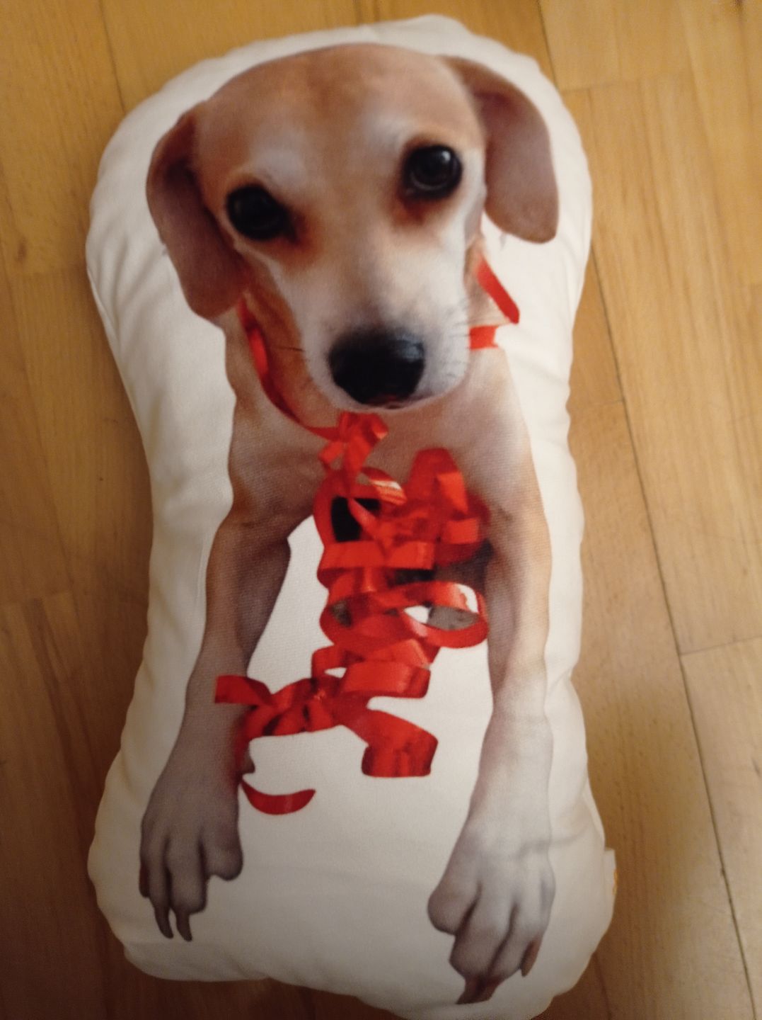 Customer photo review of Personalisiertes Tiergesichterkissen