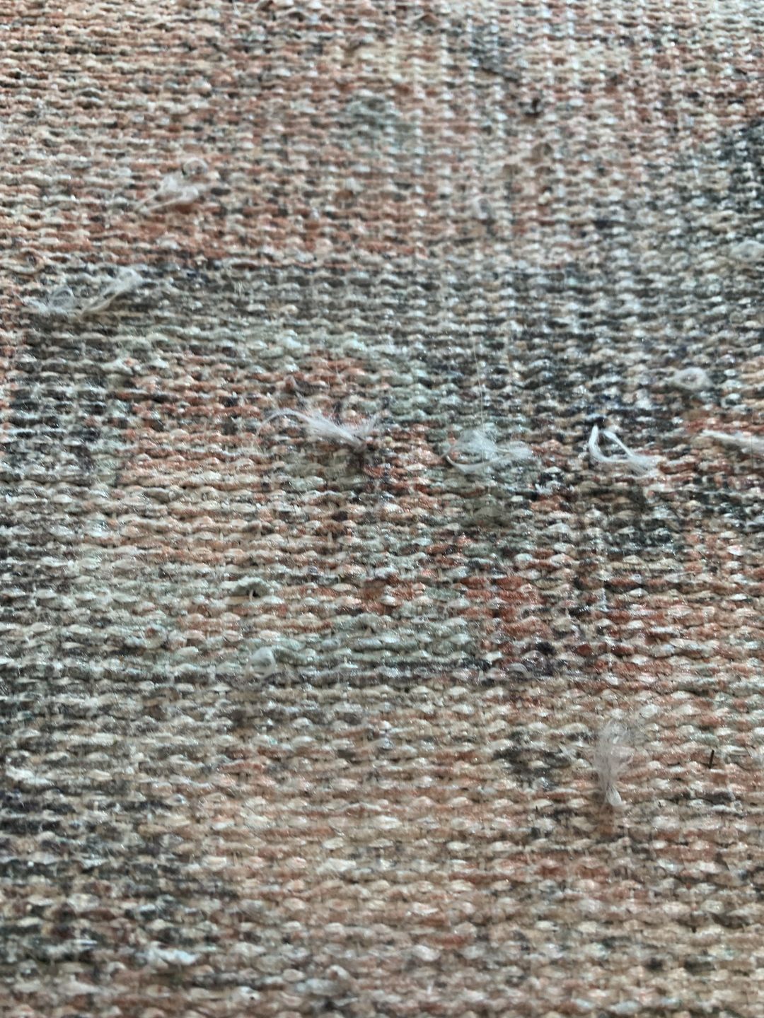 Customer photo review of Distressed Vintage Cezanne Terracotta Sky Runner