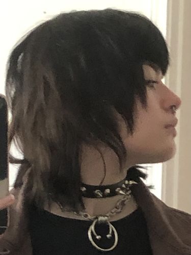 Customer photo review of Septum Steel Chain