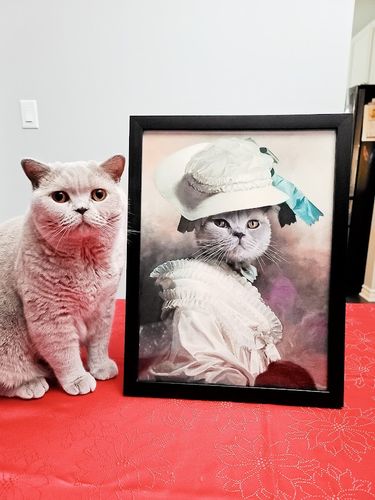 Customer photo review of My Fur Lady - Custom Vintage Pet Portrait