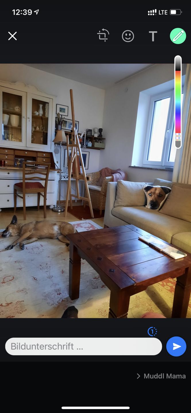 Customer photo review of Personalisiertes Tiergesichterkissen