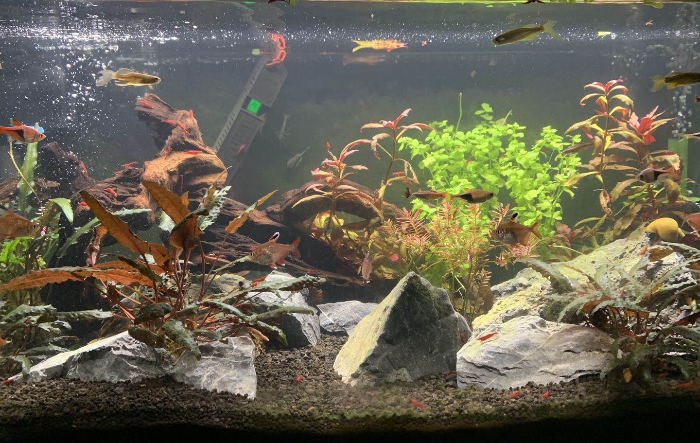 Customer photo review of Fritz COMPLETE Water Conditioner