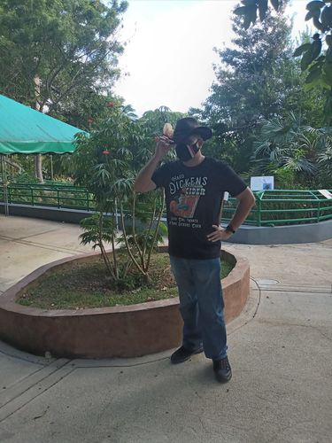 Customer photo review of Dickens Cider Cotton Tee