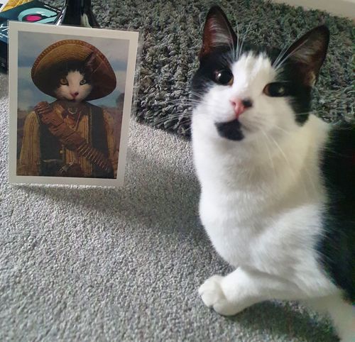 Customer photo review of The Outlaw - Custom Vintage Pet Portrait