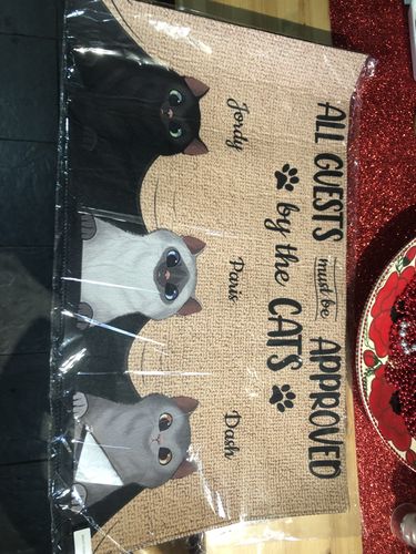 Customer photo review of All Guests Must Be Approved By The Cat Custom Doormat