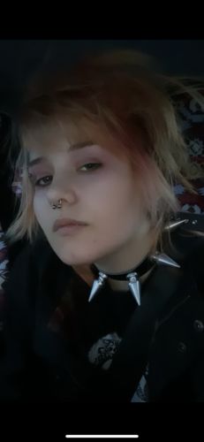Customer photo review of Bowser Collar