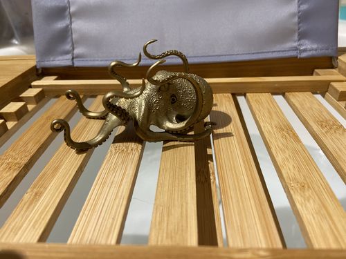 Customer photo review of Octopus Holder  | Bronze