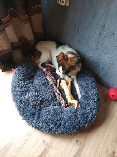 Customer photo review of Puppery Kuschelbett - Das Original