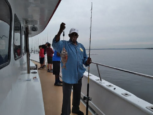 Customer photo review of Aloevine Grape Drink, 500 ml (Pack of 2)