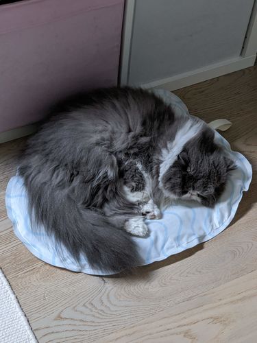 Customer photo review of Furrytail Summer Ice Pop Cooling Mat