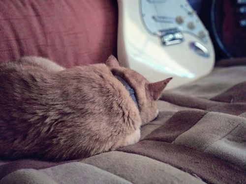 Customer photo review of Ballad MIDI Drum Loops