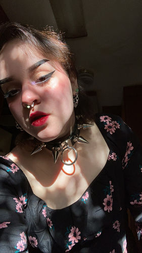 Customer photo review of Mega 6.O Collar