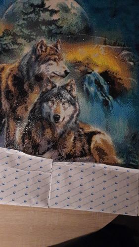 Customer photo review of Diamond Painting - Wölfe