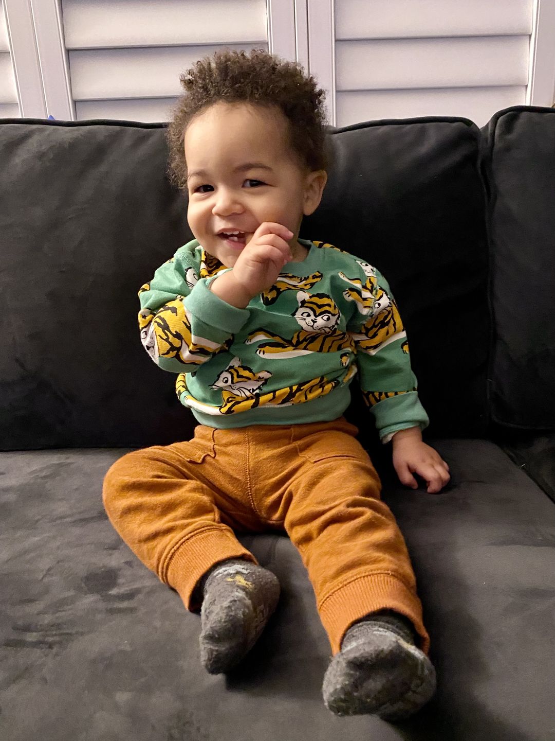 Customer photo review of Tiger Allover Sweatshirt