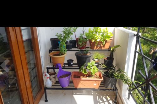 Customer photo review of 3 Step Stand for Multiple Plants and Pots Stand, Indoor Shelf Holder Rack, Gardening Stand,Indoor Outdoor (Black)
