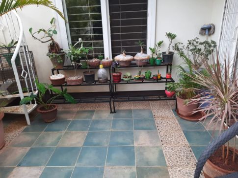 Customer photo review of 3 Step Stand for Multiple Plants and Pots Stand, Indoor Shelf Holder Rack, Gardening Stand,Indoor Outdoor (Black)