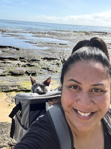 Customer photo review of All In One Pet Carrier Bag | Dog Bike Basket | Backpack for Dogs & Cats | Car Booster Seat