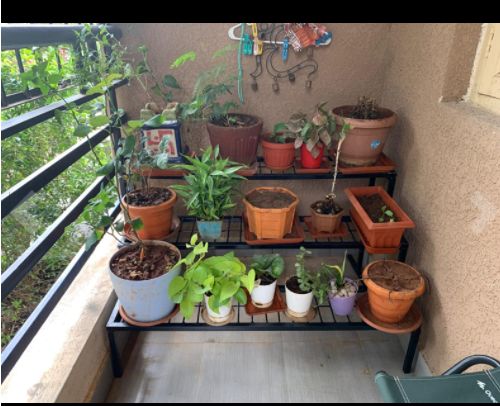 Customer photo review of 3 Step Stand for Multiple Plants and Pots Stand, Indoor Shelf Holder Rack, Gardening Stand,Indoor Outdoor (Black)