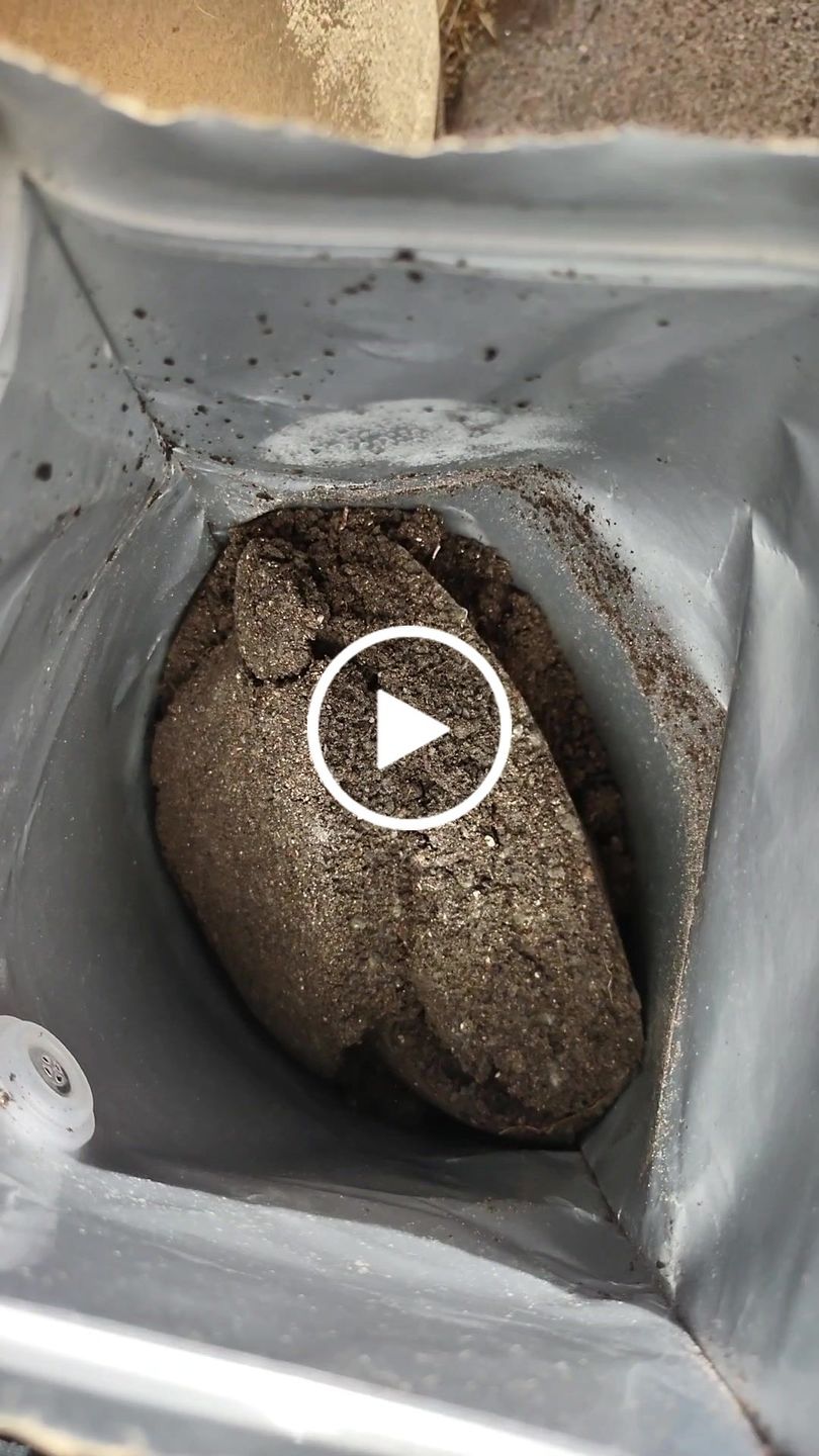 Customer video review of Ancient Earth