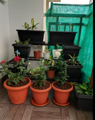 Customer photo review of 3 Step Stand for Multiple Plants and Pots Stand, Indoor Shelf Holder Rack, Gardening Stand,Indoor Outdoor (Black)