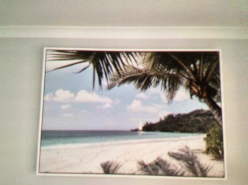 Customer photo review of Sitting Beneath the Palms