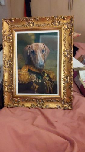 Customer photo review of The General - Custom Vintage Pet Portrait