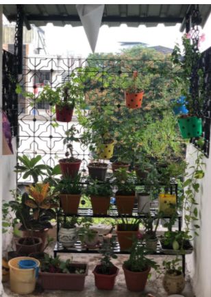 Customer photo review of 3 Step Stand for Multiple Plants and Pots Stand, Indoor Shelf Holder Rack, Gardening Stand,Indoor Outdoor (Black)