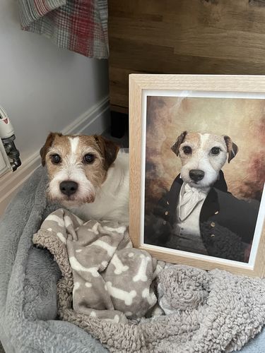 Customer photo review of The Baron - Custom Vintage Pet Portrait
