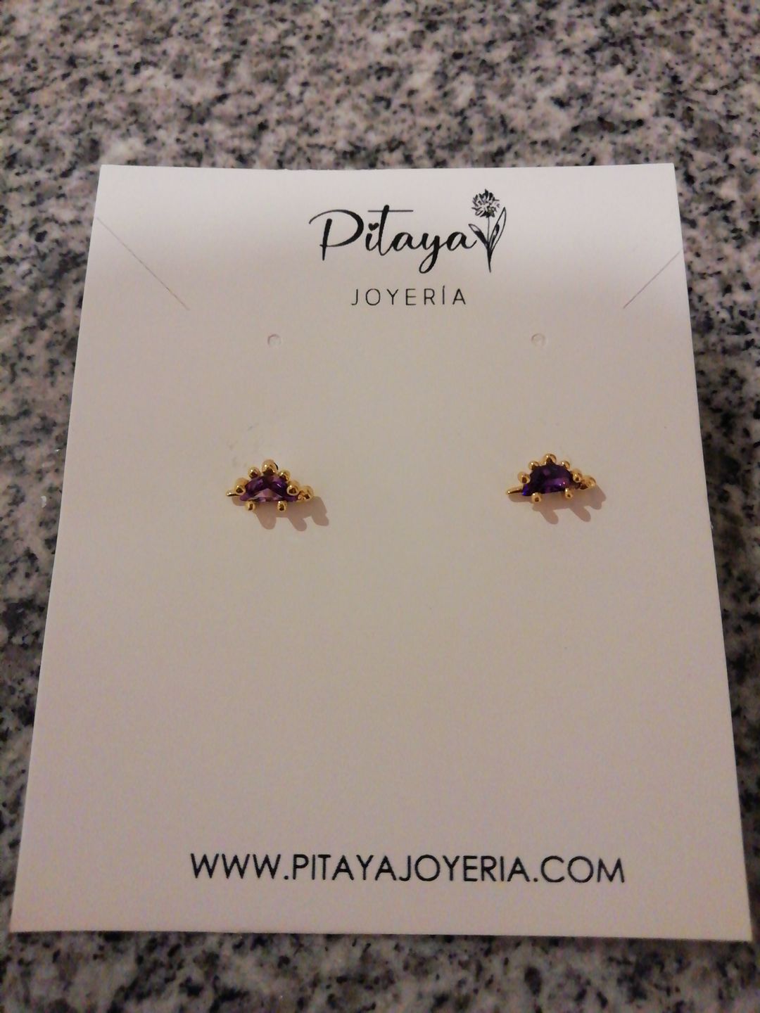 Customer photo review of Aretes de Dinosaurio