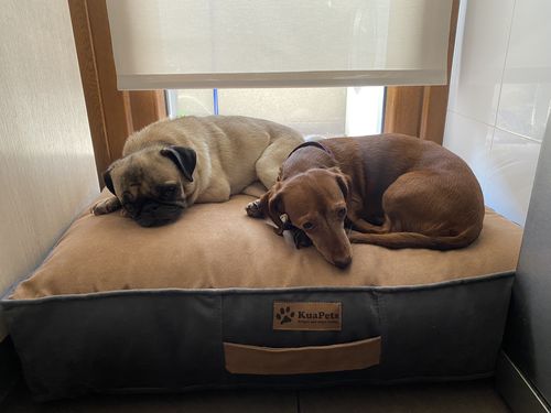 Customer photo review of CAMA ORIGEN TABACO-GRIS