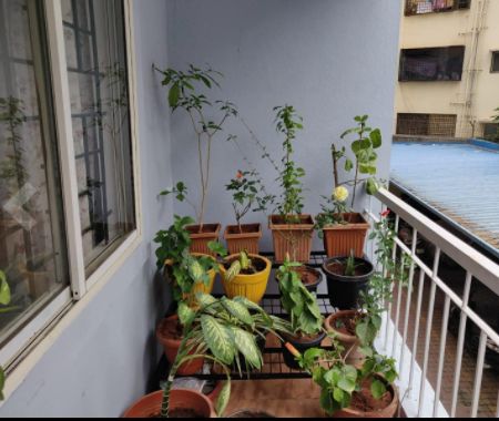 Customer photo review of 3 Step Stand for Multiple Plants and Pots Stand, Indoor Shelf Holder Rack, Gardening Stand,Indoor Outdoor (Black)